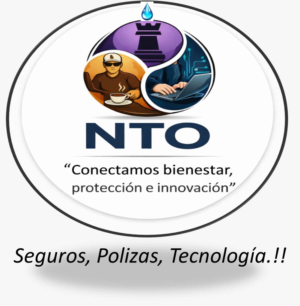 NTO Consulting Logo